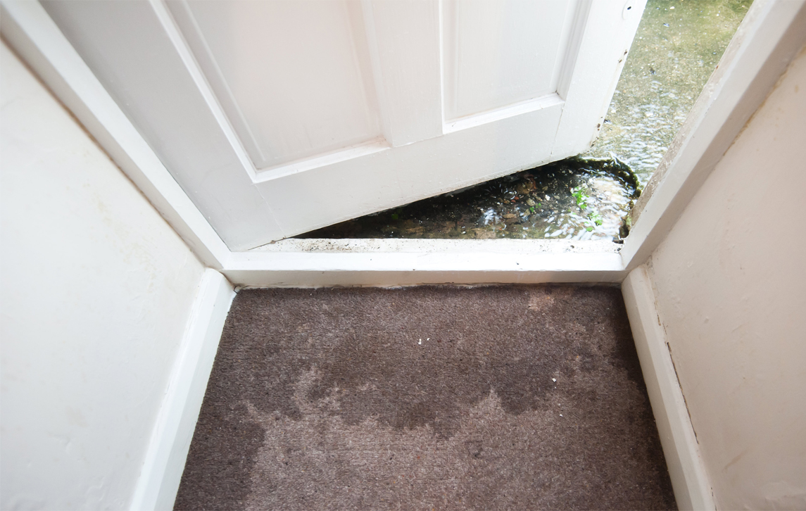 Wet carpet after a flood